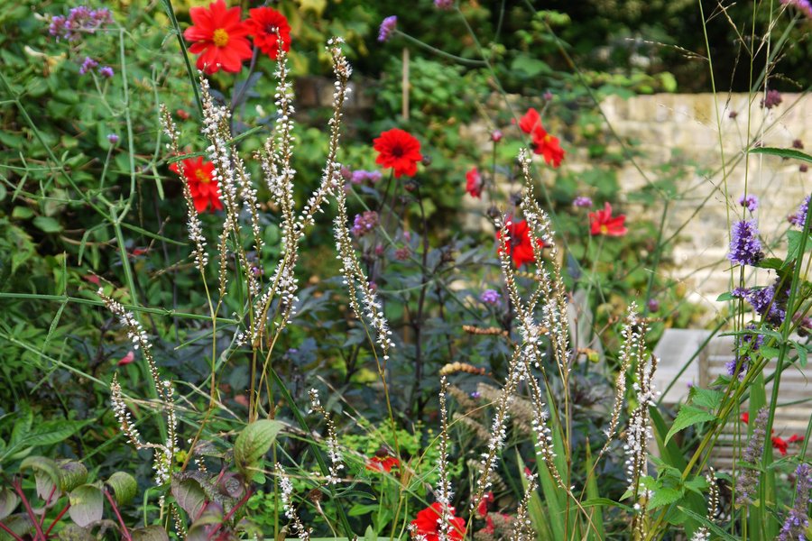 village-garden-design-canterbury-3