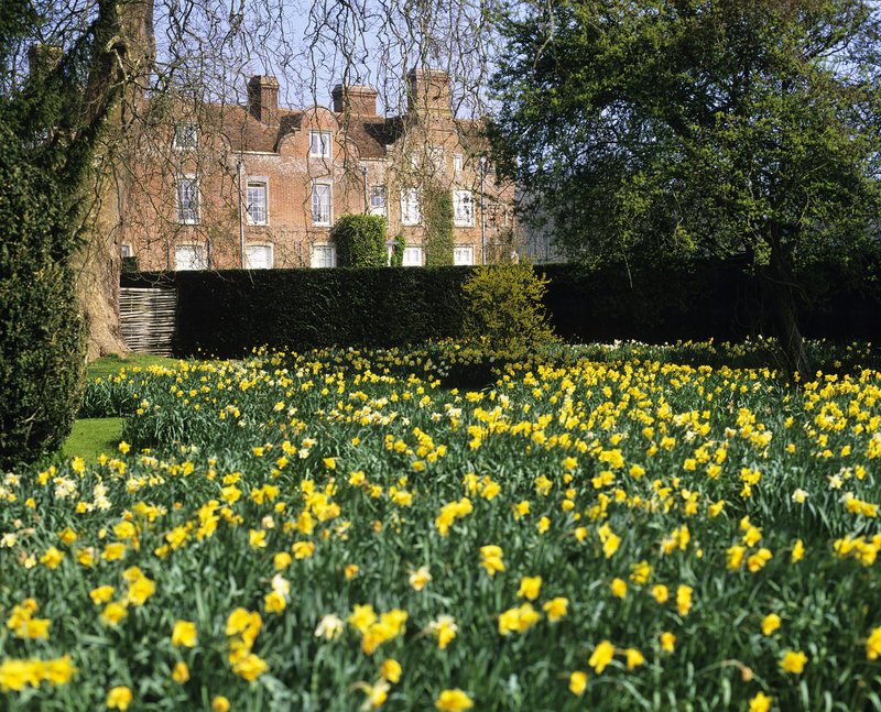 Godlington House & Gardens