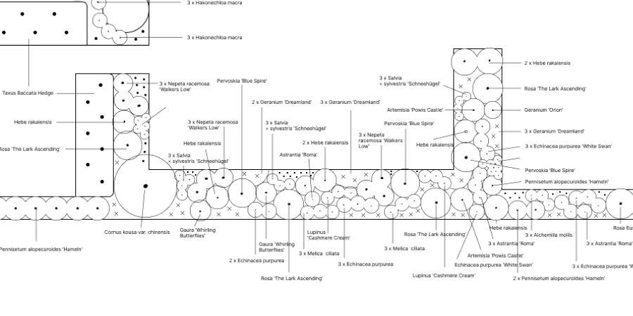 planting-plan-rooted